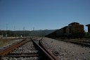 IMG_9453.JPG